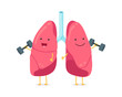 Cute cartoon funny lungs character with dumbbells. Strong smiling lung. Human respiratory system happy internal breath organ mascot. Medical healthy anatomy flat vector illusrtation