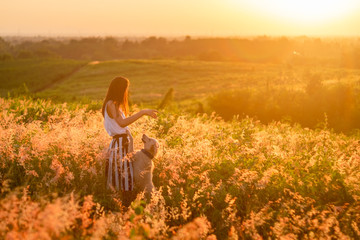 Wall Mural - Trendy girl in stylish summer dress feeling free in the field with flowers in sunshine.