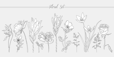 Floral set with flowers. Line art. Simple graphic drawing.