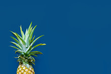 Pineapple At The Blue Solid Drop With Place For Text. Trendy Modern Colorful Background. Horizontal