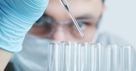 Wall Mural - technician carefully drips the solution from the pipette into glass tubes for dna analysis.