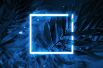 Tropical blue background neon square frame.