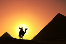 Camel Bedouin Silhouette At Giza Pyramids Cairo Egypt At Sunset