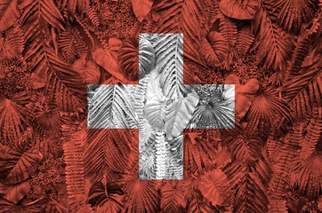 Switzerland flag depicted on many leafs of monstera palm trees. Trendy fashionable backdrop