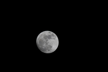 Wall Mural - full moon in the sky
