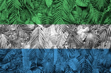 Sierra Leone flag depicted on many leafs of monstera palm trees. Trendy fashionable backdrop