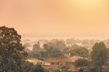 Australian bushfire: Smoke from bushfires covers the sky and glowing sun barely seen through the smoke. Suburb in a smoke haze. Catastrophic fire danger, NSW, Australia