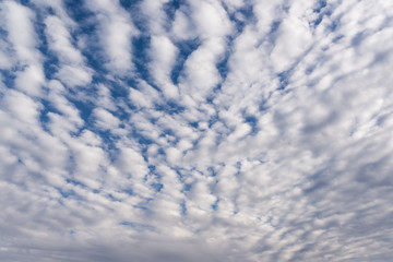 Wall Mural - Clouds and blue sky background