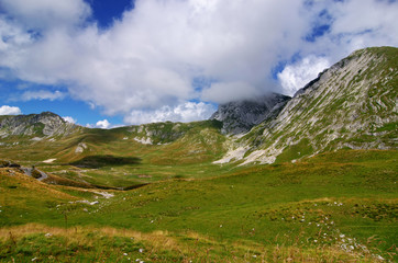 Poster - Beautiful summer mountain landscape. Durmitor National Park, Montenegro.