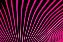 Bright Neon Line Designed Background, Shot With Long Exposure. Modern Background In Lines Style. Abstract, Creative Effect, Texture With Lighting, Art Of Colors Combination. Artistic Choice Of Shapes.