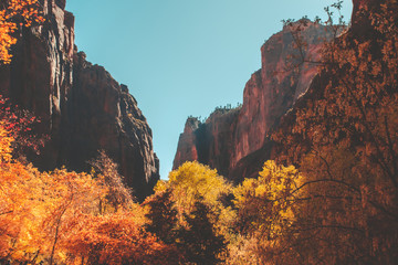 zion national park