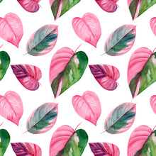 Pink And Green Tropical Leaves, Caladium, Ficus, Caladium. Seamless Pattern, Watercolor Illustration