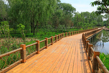 Wooden Platforms And Railings