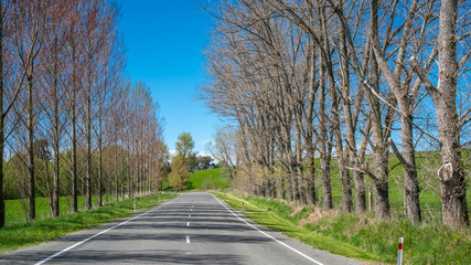 Street View With Natural Mountain Landscape