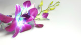 Fototapeta Storczyk - Orchids, Very beautiful flowers of blue-green-purple. Congratulation.