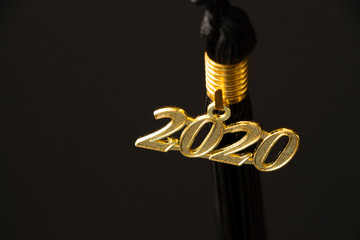 Wall Mural - 2020 Graduation Tassel 