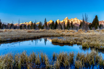 Wall Mural - Pond Reflection of Mountains, Peaks, Forest