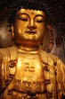 Buddha with the symbol of the swastikaIn.  Buddhism, the swastika is considered to symbolize the auspicious footprints of the Buddha. It is an aniconic symbol for the Buddha in many parts of Asia