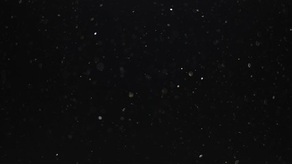 particles on black background, abstract overlay with particles and bokeh