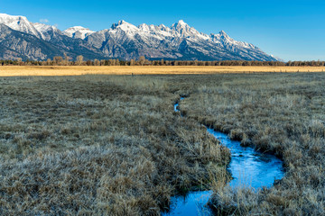 Wall Mural - Stream in Field with Snow on Mountains