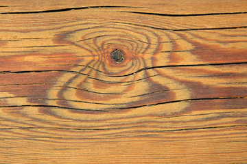 Wall Mural - Close-up of Wood Texture