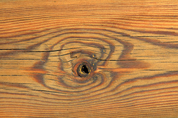 Wall Mural - Close-up of Wood Texture