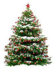beautiful christmas tree decorated with red balls. snowy christmas tree wit red star isolated on whi
