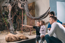 Family In The Museum. A Family Stands In Front Of A Mammoth Skeleton In The Museum Of Paleontology.