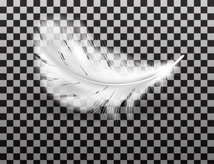 White fluffy feather with shadow vector realistic isolated on transparent background. Feathers from wings of birds or angel, symbol of softness and purity, design element