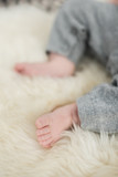 Fototapeta  - A beautiful soft delicate warm young baby foot photographed with a shallow depth of field. gentle calm colours and feel. baby care and well being. babies feet on a cream fur rug.