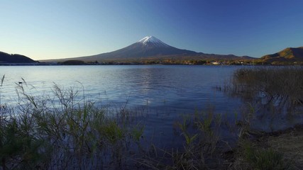 Fototapete - Mountain fuji with grass foreground, Kawaguchiko Lake, Japan
