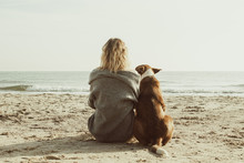 Young Woman Sitting And Hugging Dog On The Beach. Friendship Concept - Woman And Dog Sitting Together On A Beach And Enjoying Sunrise. Back View Colorized Image