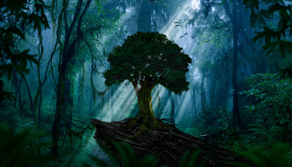 Plakat natura drzewa roślina pejzaż