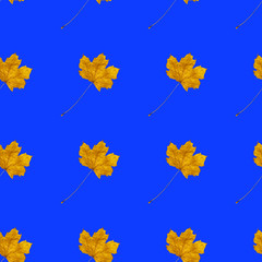 Seamless pattern with autumn yellow leaves on blue color