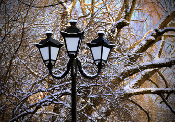 Lantern in the winter park