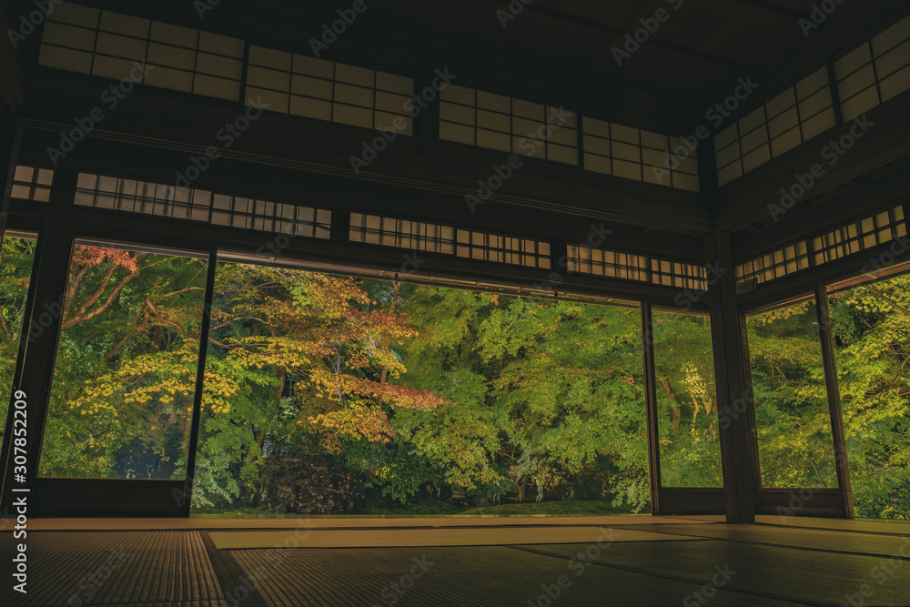 京都 お寺 寺 紅葉 光明寺 寺社仏閣 写真素材 Wall Mural Sanato 京都 お寺 寺 紅葉 光明寺 寺社仏閣 写真素材 Wall Mural Sanato