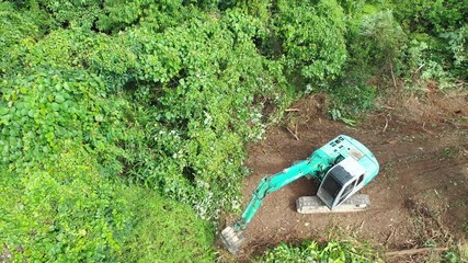 Wall Mural - Deforestation. Excavator destroying tropical rainforest. Environmental problem