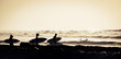 © Daniel - silhouette of four surfers entering at the water with surfboards and wetsuits - surfing at the sunset and with waves at the background