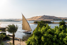 Feluccas Boat Sailing In Nile River In Luxor Egypt 