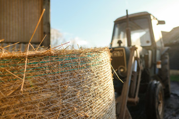 Large bale of hay seen being transported by a tractor from a dry barn. Seen on a dairy farm the bale is used as feed for the livestock over winter.