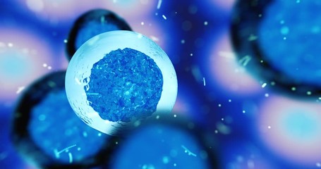 Wall Mural - creative image of embryonic stem cells, cellular therapy. 3d render
