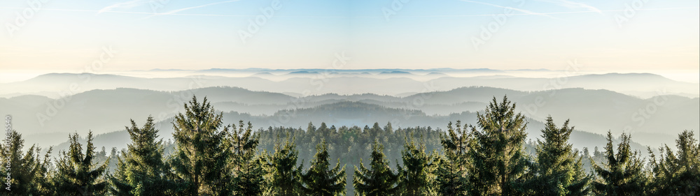 Amazing fog landscape in black forest panorama banner long - obrazy, fototapety, plakaty 