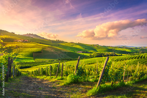 Fototapeta Widok winnic Langhe, Barolo i La Morra, Piemont, Włochy Europa.
