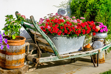 Wall Mural - part of an old cart