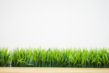 Fresh green grass in a wooden pot against a white wall in the office. Interior of the room with natural greenery. abstract background with copy space for an inscription.