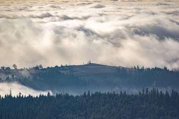  The view from the heights of the mountains and forests covered by fog