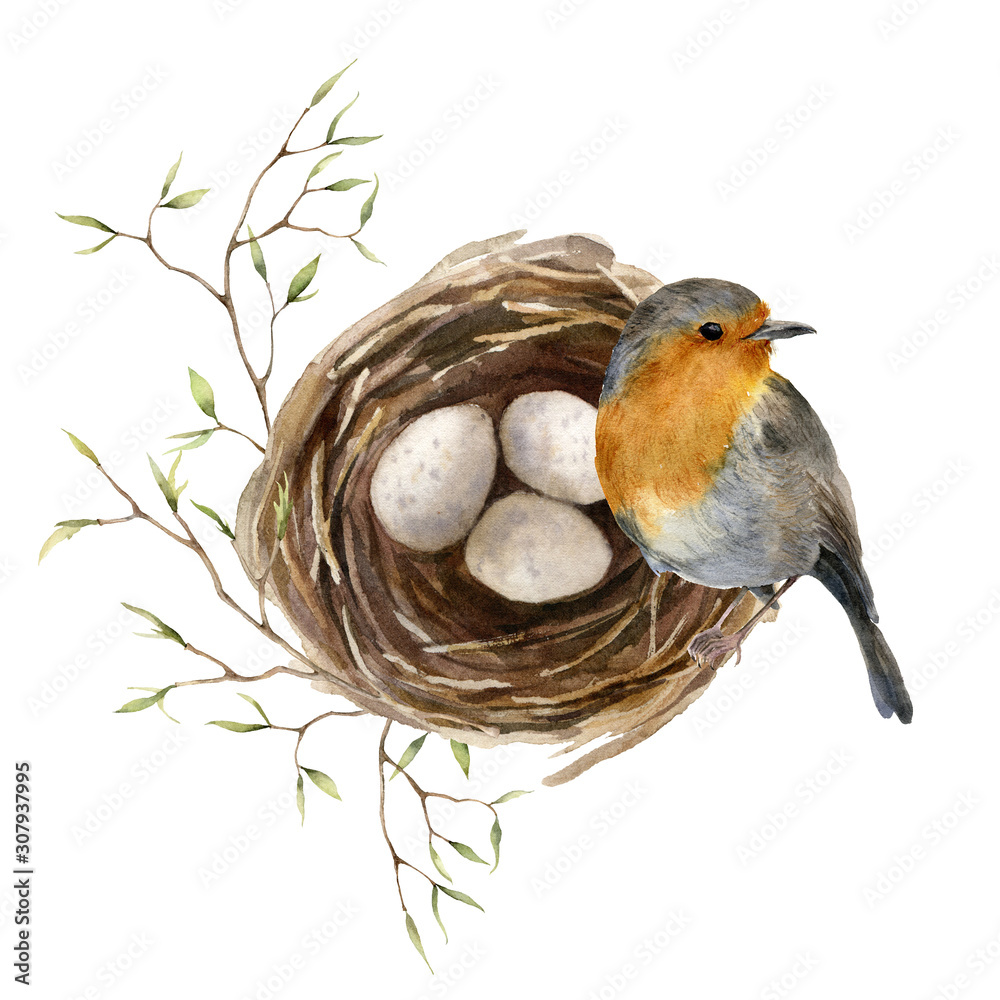 Watercolor easter card with bird and nest. Hand painted spring nest ...