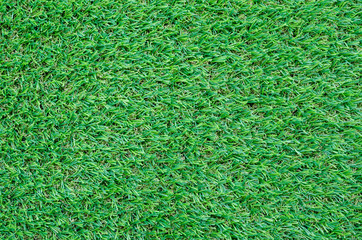 Green grass texture for background. Green lawn pattern and texture background. Close-up.