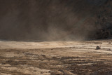Strong wind blows dust across the dirt road