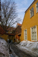 Wall Mural - Narrow street in the old town of Tallinn covered by, snowbanks. Estonia